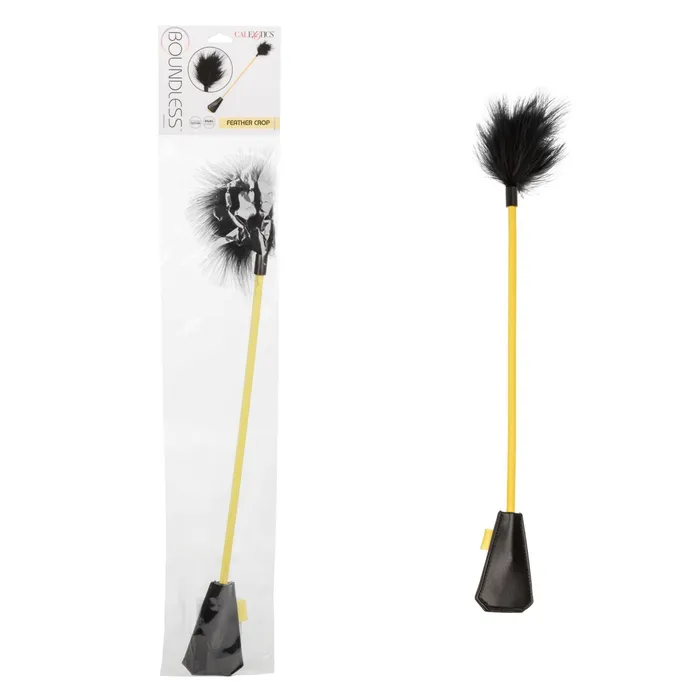 CalExotics Anal | Boundless Feather Crop - Black