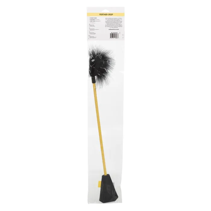 CalExotics Anal | Boundless Feather Crop - Black