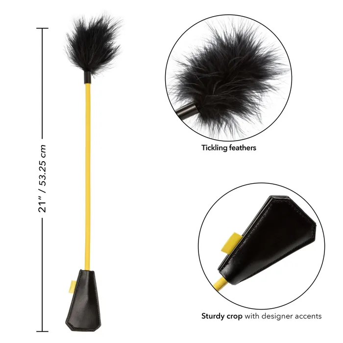 CalExotics Anal | Boundless Feather Crop - Black