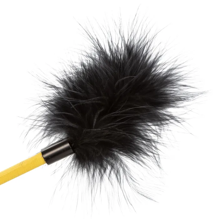 CalExotics Anal | Boundless Feather Crop - Black
