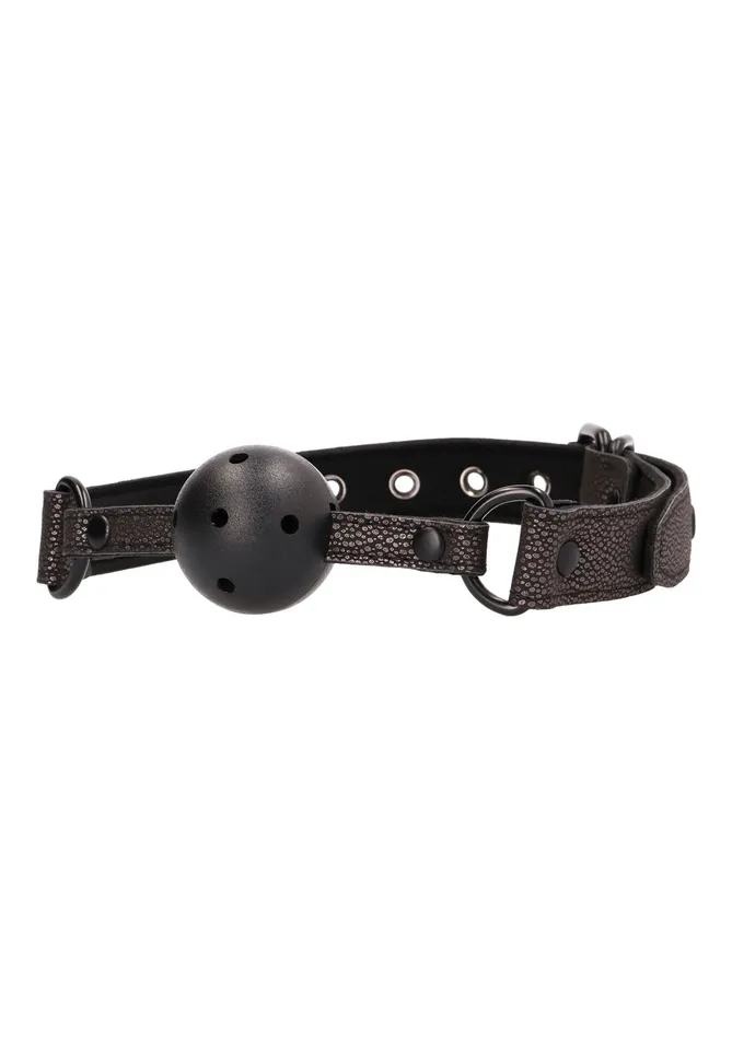 Ouch Elegant Ball Gag Titanium Grey Shots Ouch Male Sex Toys