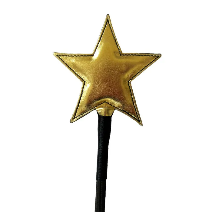 Ruff Doggie Styles Gold Star Crop | Vibrators
