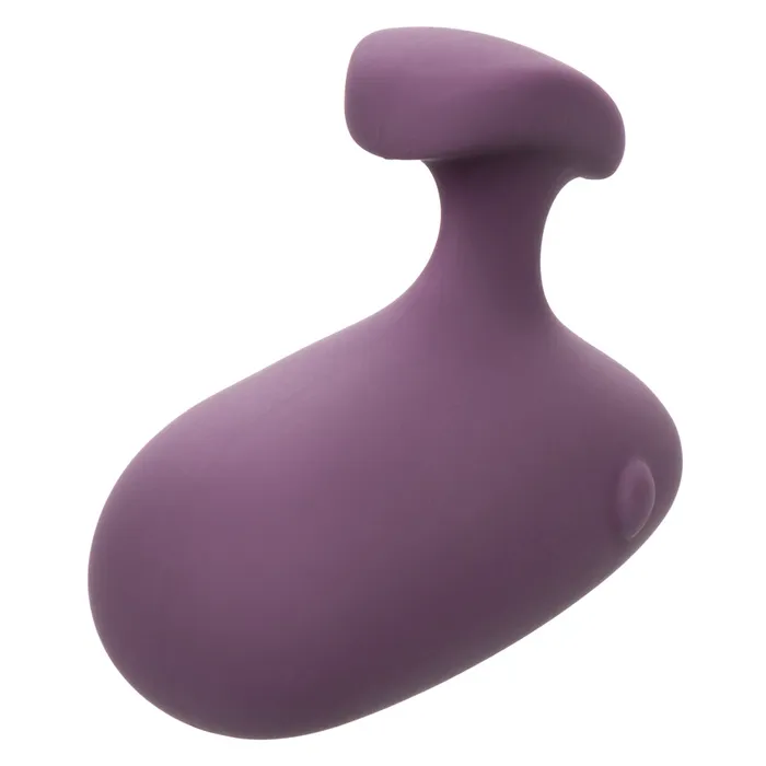 Vibrators CalExotics Mod Touch Purple