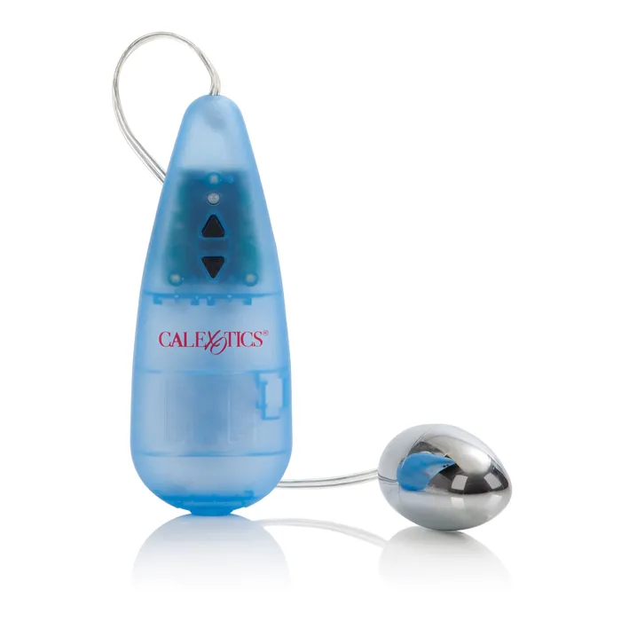 California Exotic Vibrators Impulse Pocket Paks Silver Egg