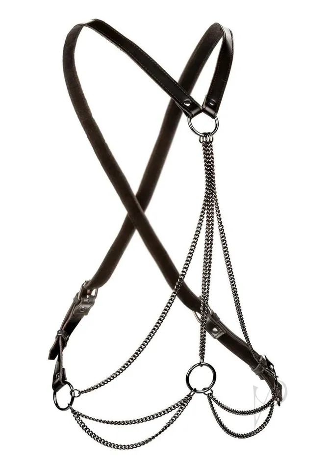 Euphoria Euphoria Collection Multi Chain Harness Vibrators
