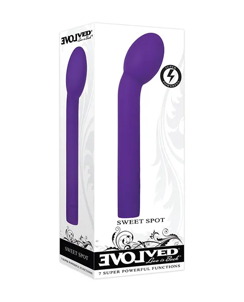 Evolved Novelties INC Vibrators Evolved Sweet Spot Purple