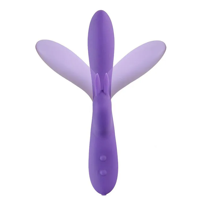 Sensuelle Vibrators Sensuelle Brandii 10 Function Rabbit Vibe Purple