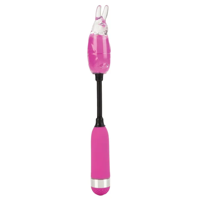 Shanes World Campus Buzz Massager Purple CalExotics Vibrators