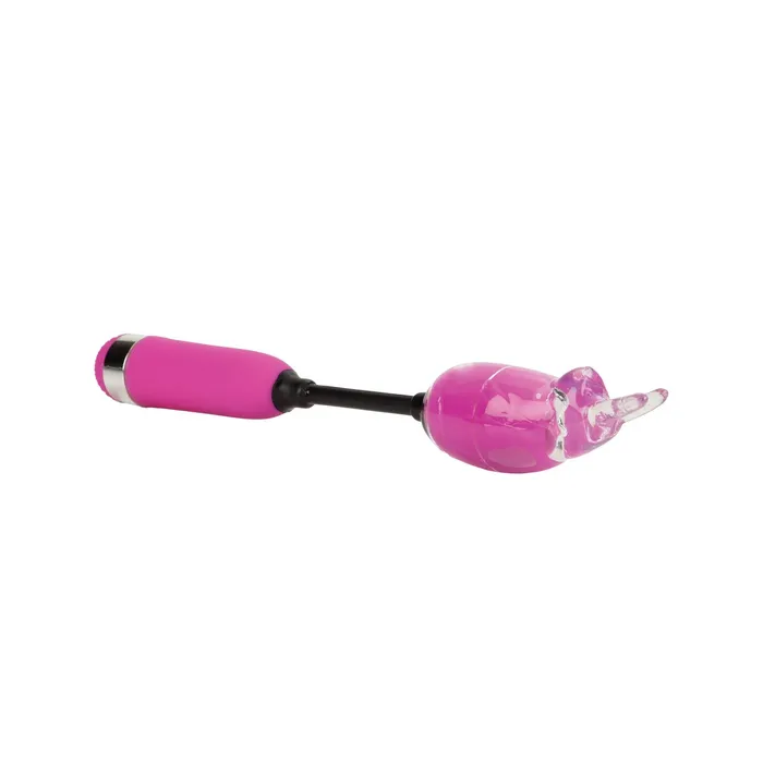 Shanes World Campus Buzz Massager Purple CalExotics Vibrators