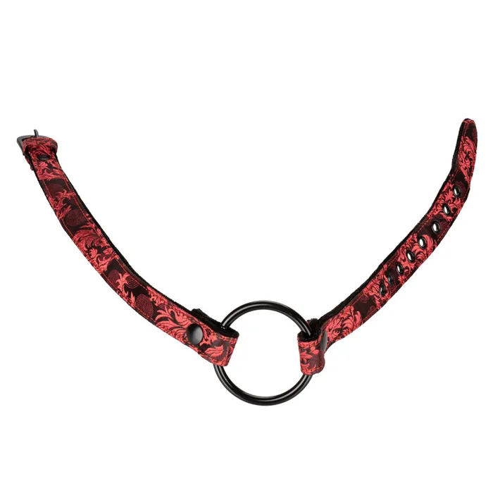 Vibrators California Exotic Scandal Wide Open Mouth Gag